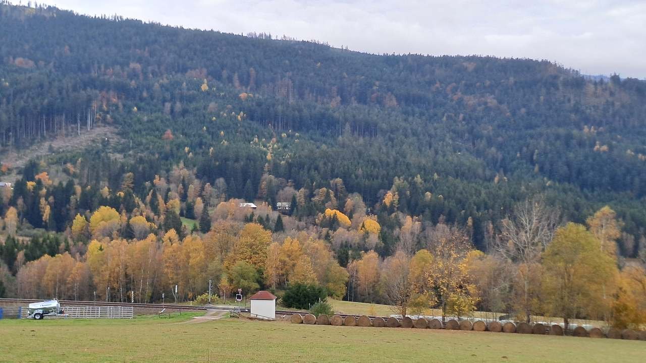 Jaro